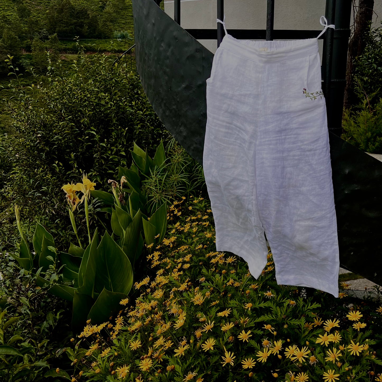 Dahlia pants